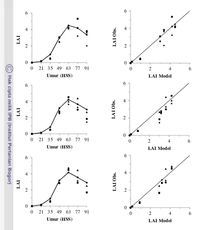 Gambar 7 Perbandingan antara indeks luas daun hasil model (LAI Model) dan 