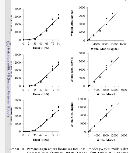 Gambar 10 Perbandingan antara biomassa total hasil model (Wtotal model) dan 