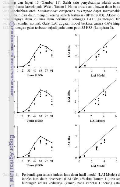 Gambar 11 Perbandingan antara indeks luas daun hasil model (LAI Model) dan indeks luas daun observasi (LAI Obs.) Waktu Tanam I (kiri) serta hubungan antara keduanya (kanan) pada varietas Ciherang (atas), 