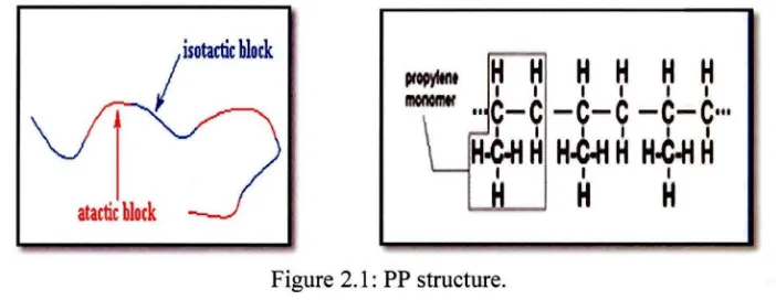 Figure 2.1: PP structure. 
