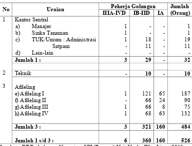 Tabel 1.1 Jumlah Pekerja PT Perkebunan Nusantara VII (Persero) Unit Usaha Way Lima Tahun 2013.