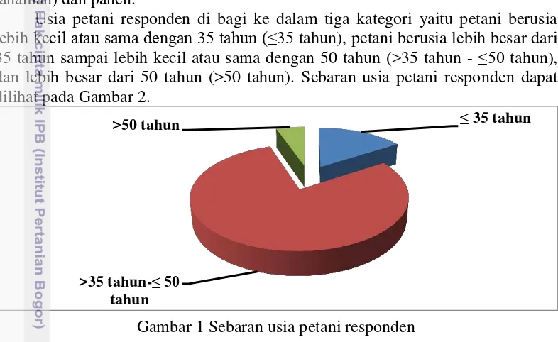 Gambar 1 Sebaran usia petani responden 