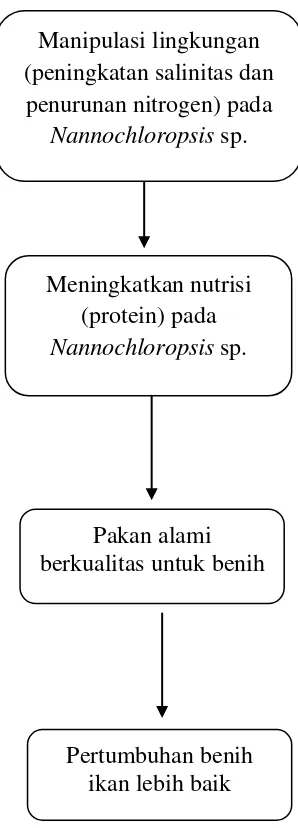 Gambar 1. Kerangka pikir penelitian 