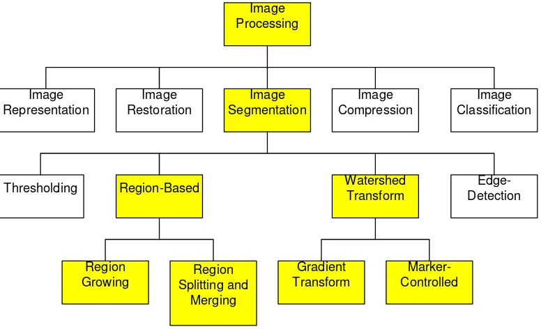 Table 2.1 Classification of objects to be segmented (TALREJA, 