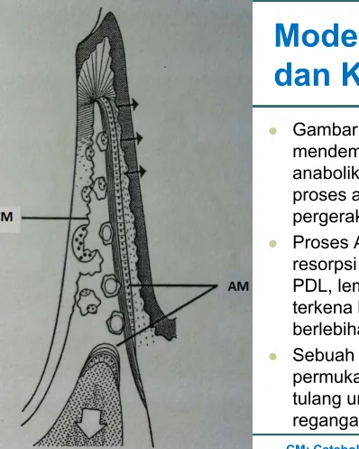 Gambar disamping 