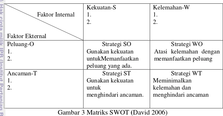 Gambar 3 Matriks SWOT (David 2006) 