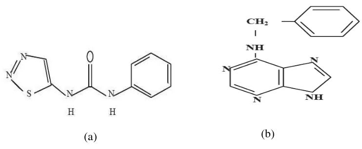 Gambar 1. Rumus bangun (a) thidiazuron (TDZ) , (b) benziladenin (BA) 