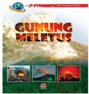Gambar 1.1 Cover Buku Seri Bencana: Gunung Meletus 
