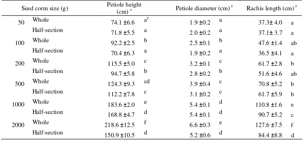 Table 2.  Petiole diameter, height and rachis length of A. paeoniifolius from different corm sizes 