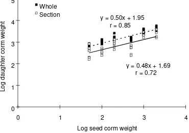 Figure 1.  Tuberization rate (daughter corm weight/seed corm weight) of elephant foot yam as affected by seed corm weight and section 