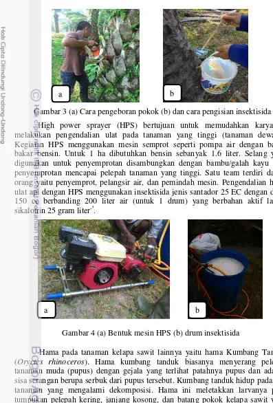 Gambar 3 (a) Cara pengeboran pokok (b) dan cara pengisian insektisida 