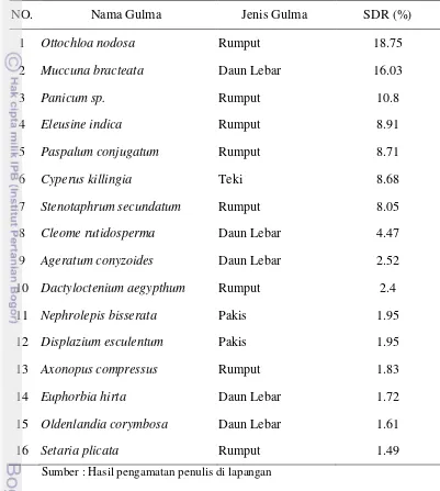 Tabel 8 Dominansi gulma di Afdeling 1 pada lahan tanaman belum menghasilkan (TBM) di Kebun Bangun Bandar   