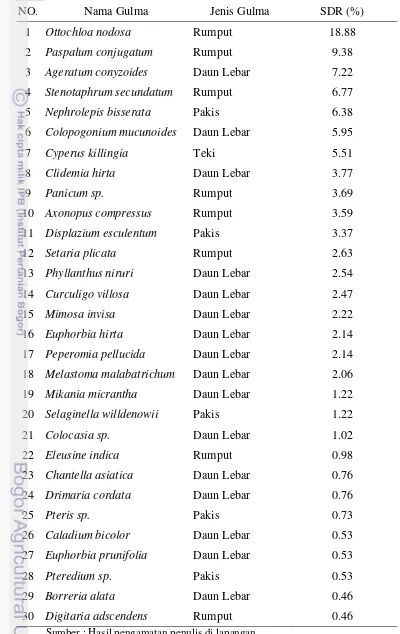 Tabel 10 Dominansi gulma di Afdeling 1 pada lahan tanaman menghasilkan tua (TM Tua) di Kebun Bangun Bandar 