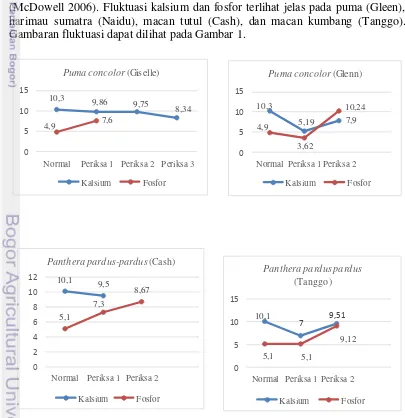 Gambaran fluktuasi dapat dilihat pada Gambar 1. 