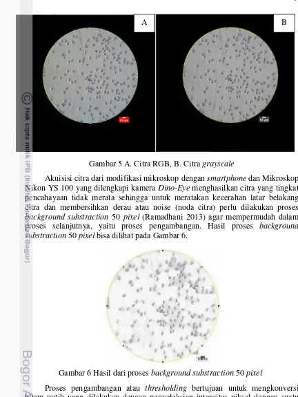 Gambar 5 A. Citra RGB, B. Citra grayscale 