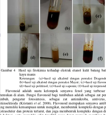 Gambar 4  Hasil uji fitokimia terhadap ekstrak etanol kulit batang batang 