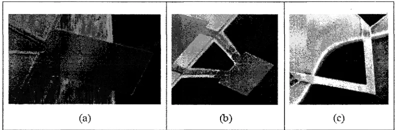 Figure 2.6 Type of shape for piezoresistive MEMS microcantilever, (a) Rectangle shape, (b) Paddle shape, (c) V-shape 