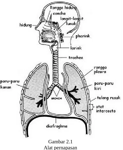 Gambar 1.1Cara pengucapan