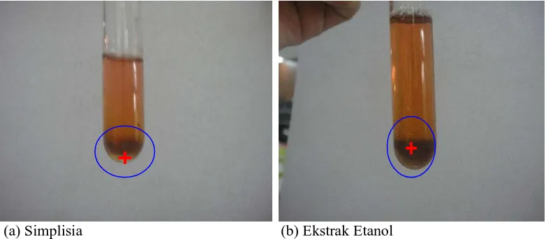 Gambar 3. Pemeriksaan Glikosida (b) Ekstrak Etanol  