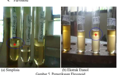 Gambar 5. Pemeriksaan Flavonoid (b) Ekstrak Etanol Senyawa flavanoid positif pada simplisia dan ekstrak etanol ditandai dengan 