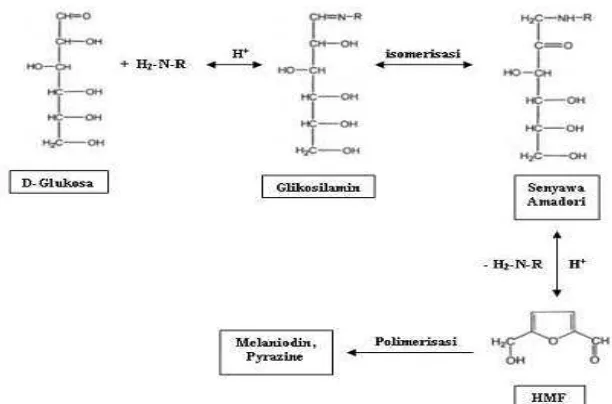 Gambar 1. Mekanisme reaksi Maillard (Tranggono dan Sutardi, 1990) 