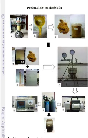 Gambar 1 Proses pembuatan ‘biolignoherbisida’ 