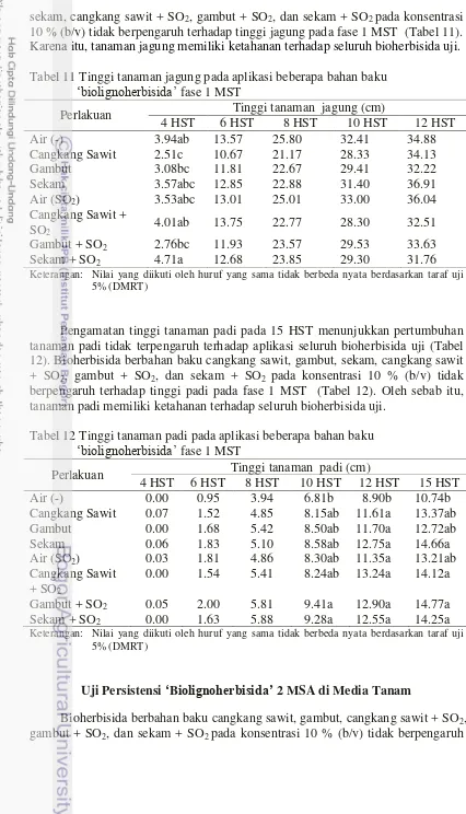 Tabel 11 Tinggi tanaman jagung pada aplikasi beberapa bahan baku 