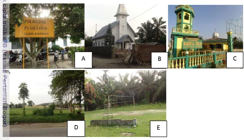 Gambar 1. Fasilitas PT Socfindo (A. Poloklinik ; B. Gereja ; C. Masjid ; D. 