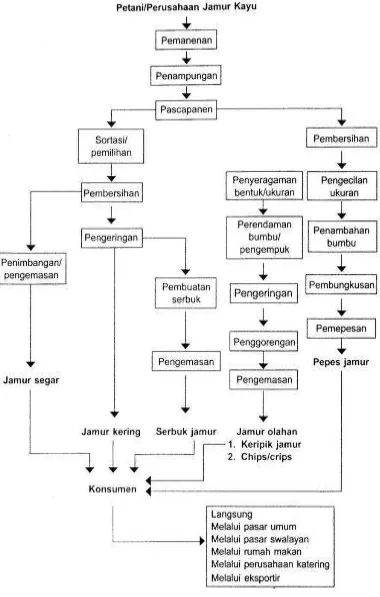 Gambar 2.  Diagram alir teknologi pasca panen jamur kayu Sumber : Suriawiria (2002)  