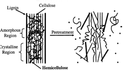 Gambar 1. Skema degradasi lignin dalam suasana alkali (Hsu, et al. 1980). 