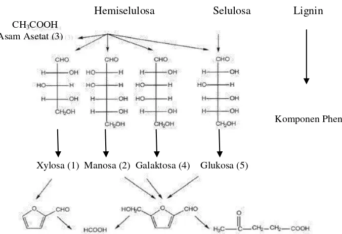 Gambar 2.  Skema hidrolisis  lignoselulosa dalam suasana asam                                   (Palmquist and Hahn-Hageral, 2008) 