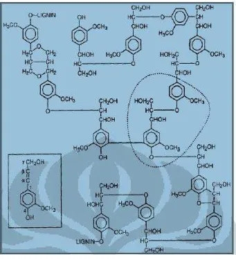 Gambar 6. Struktur lignin yang umum terdapat pada kayu lunak                               (Hammel, 1997)