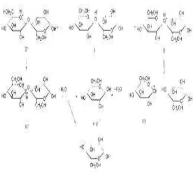 Gambar 7. Skema hidrolisis dengan katalis asam                 (Sumber : Xiang, 2003) 