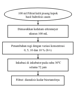 Gambar 12. Fermentasi  kulit pisang kepok (Metode Adnan, 2011) 