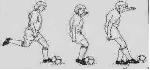 Gambar 3. Teknik Dasar Mengumpan Lambung (Chipping) 