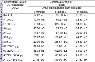 Tabel 5.  Jumlah akar tersier (buah) bibit manggis umur 15 BSI 