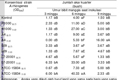 Tabel 6.   Jumlah akar kuarter (buah) bibit manggis umur 15 BSI 
