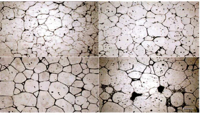 Figure 2.1.2.1 (a).Microstructures of 630°C, and the remelted 6061 alloys at different temperatures (as cast) with holding time of 15 min with temperature 610°C 620°C, 640°C [5]