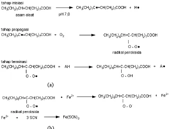 Gambar 4. (a) Reaksi oksidasi asam oleat dan (b) reaksi pembentukan kompleks Fe(SCN)3