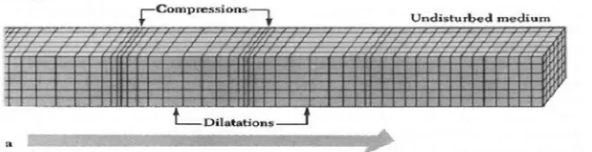 Gambar 9. Ilustrasi gerak gelombang sekunder (Hidayati, 2010) 