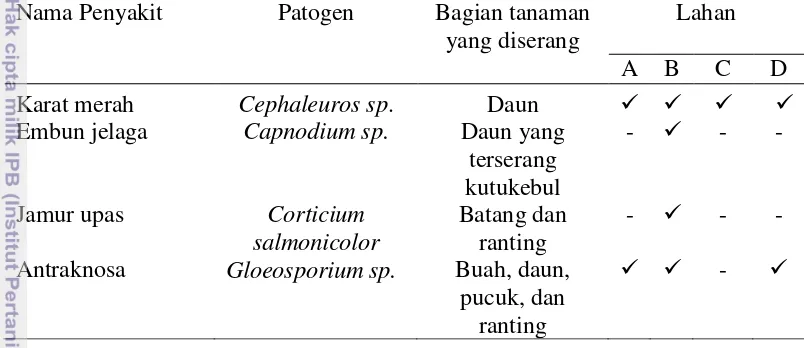 Tabel 7   Keberadaan penyakit diempat lahan pertanaman jambu air di wilayah        Kabupaten Demak, Jawa Tengah 