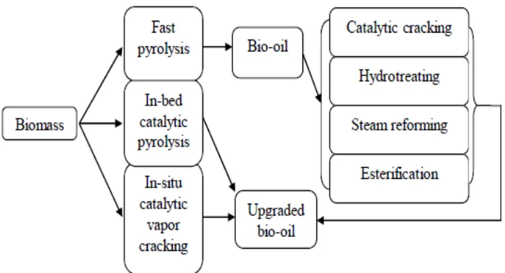 Gambar 2.2 Proses Konversi Biomassa [14] 
