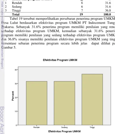 Tabel 19 tersebut memperlihatkan persebaran penerima program UMKM di 