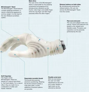 Figure 2.3: Michelangelo Hand     