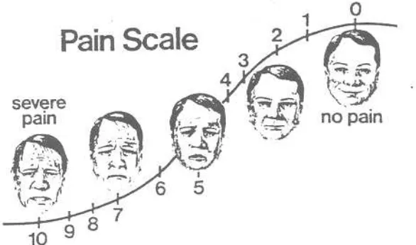 Gambar 2.5 Visual Analogue Scale 
