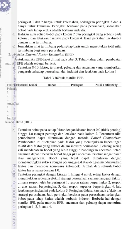 Tabel 3 Bentuk matriks EFE 