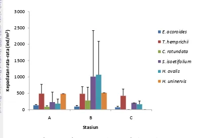 Gambar 3 Kepadatan rata-rata lamun pada tiga stasiun 