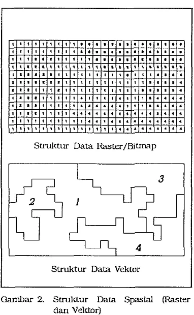 Gambar 2. Struktur Data Spzsial (Raster 