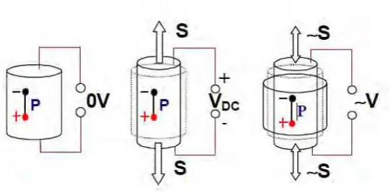 Figure 2.2: Piezoelectric direct effect in shorted circuit. 