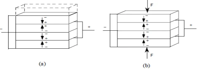 Figure 2.5: Piezoelectric Stack Actuator and Generator. (a) Actuator device (b) Energy Harvester